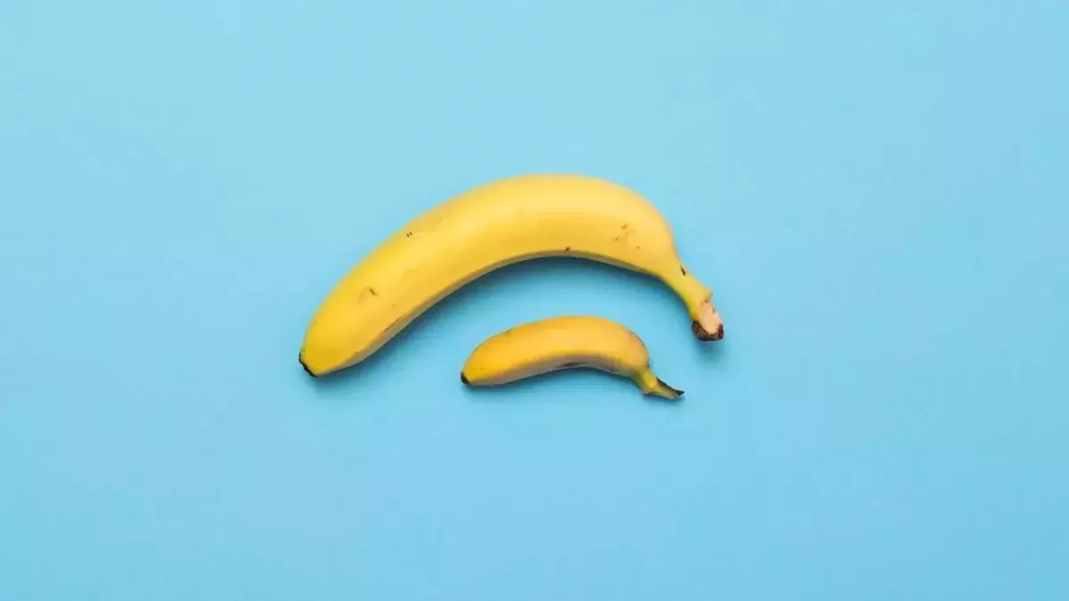 Doctor Reveals the Real Average Penis Size