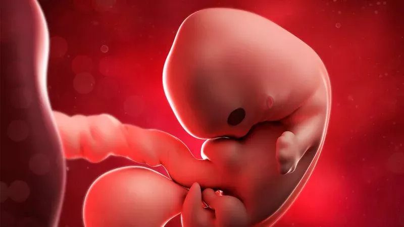 Doctors Discovered Hair, Teeth And Bones In A Teenager’s Stomach. It Turned Out To Be Her Twin