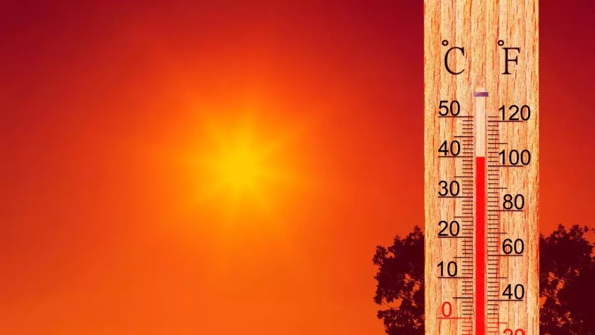 Dozens of death from killer heat wave in Canada and the USA