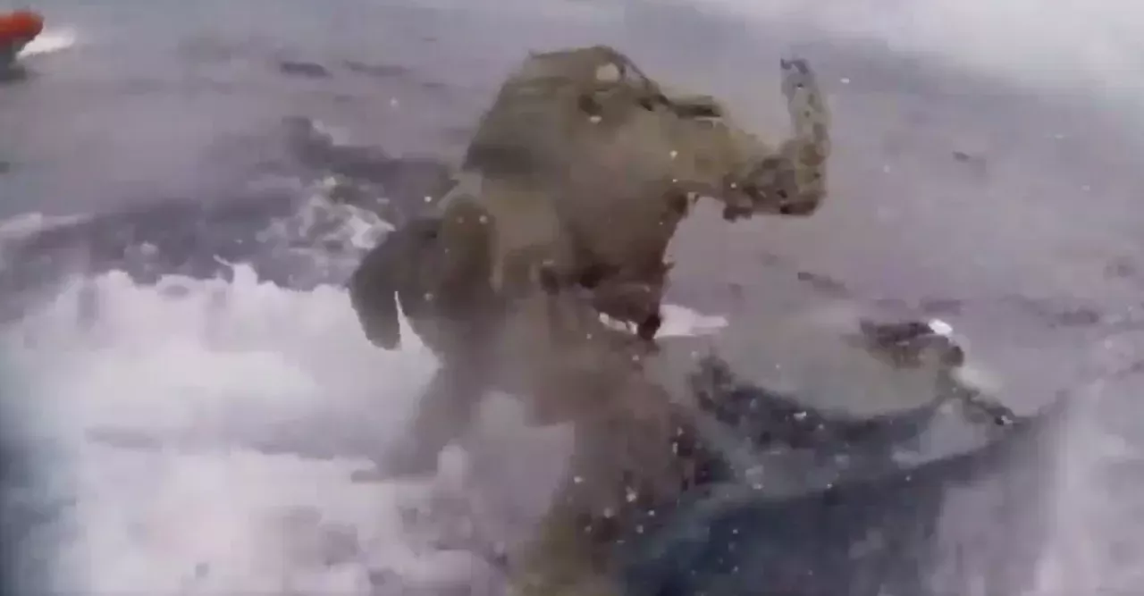 Drug Trafficking: The incredible drug bust the coastguard made on a submarine (VIDEO)