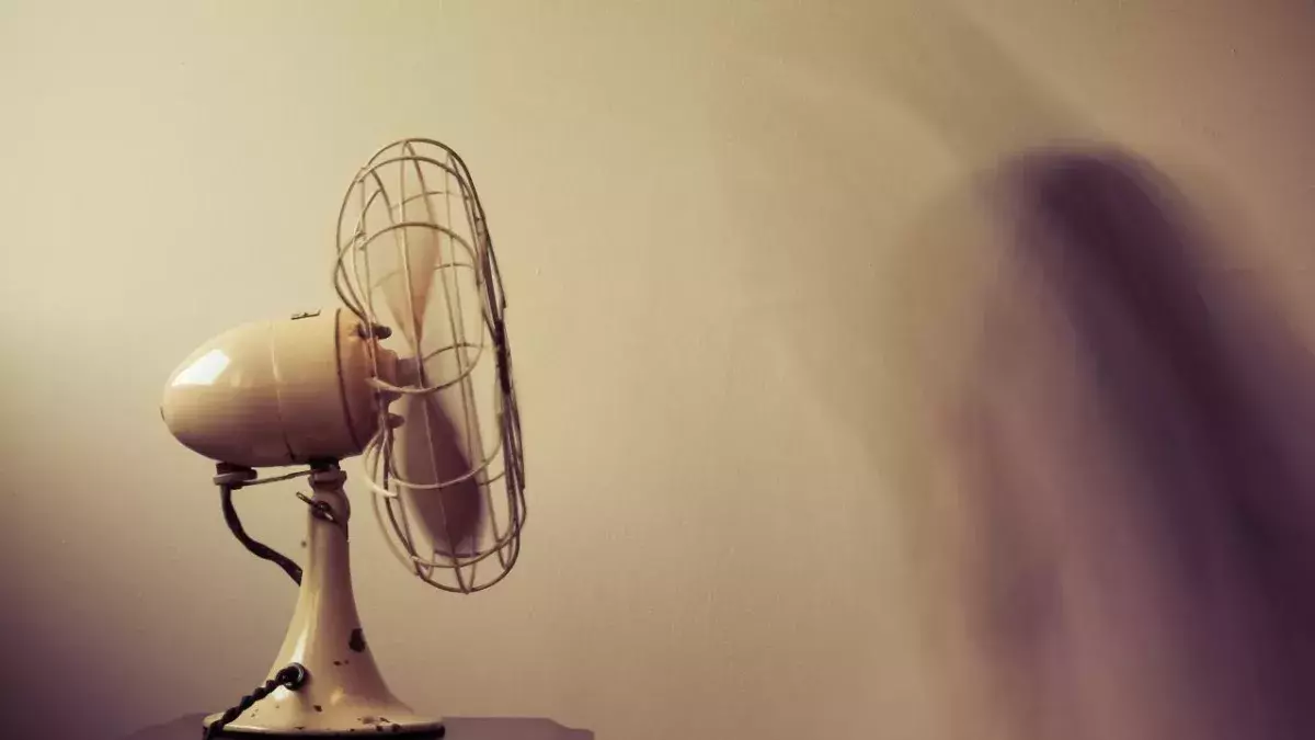 Fan