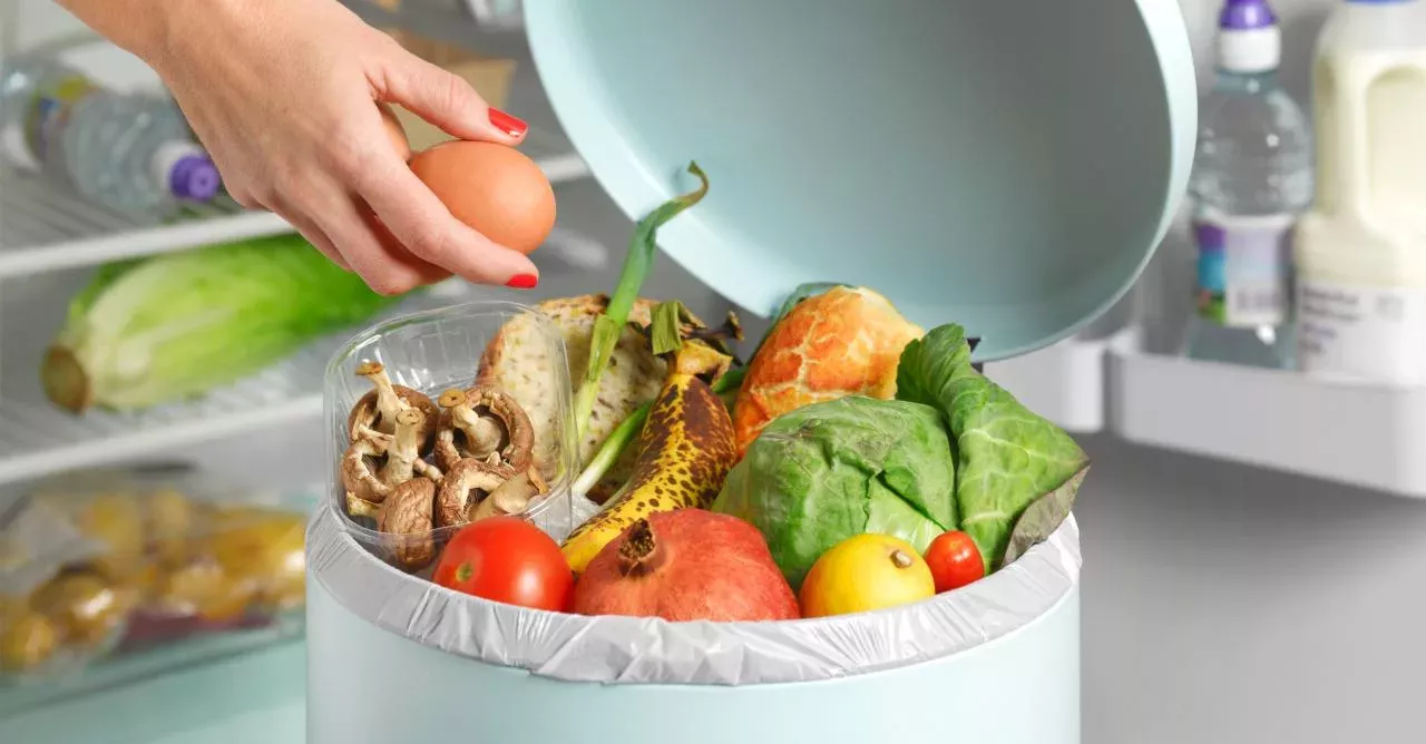 Food waste is not okay