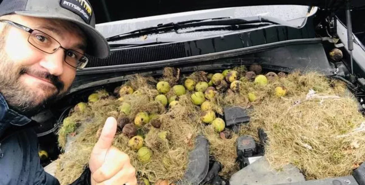 Her Car Was Giving Off A Burning Smell 