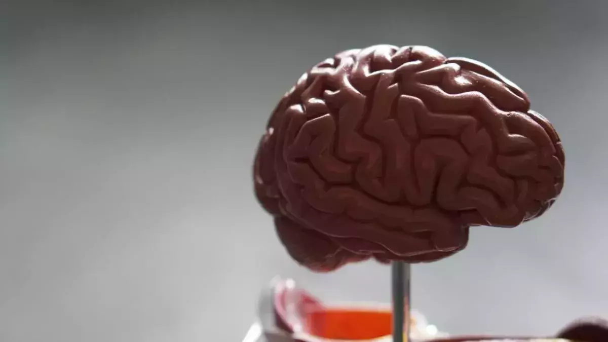 How to manipulate your brain to lose weight