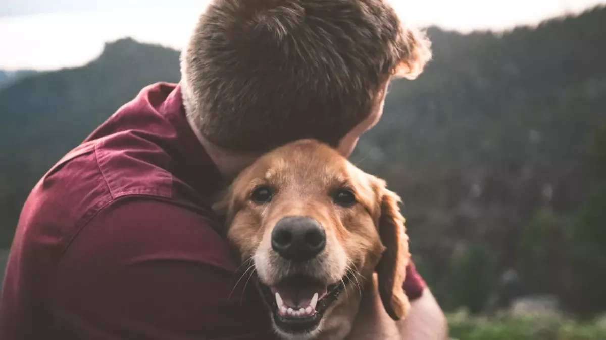 Humans shown to transmit deadly COVID virus to their pets