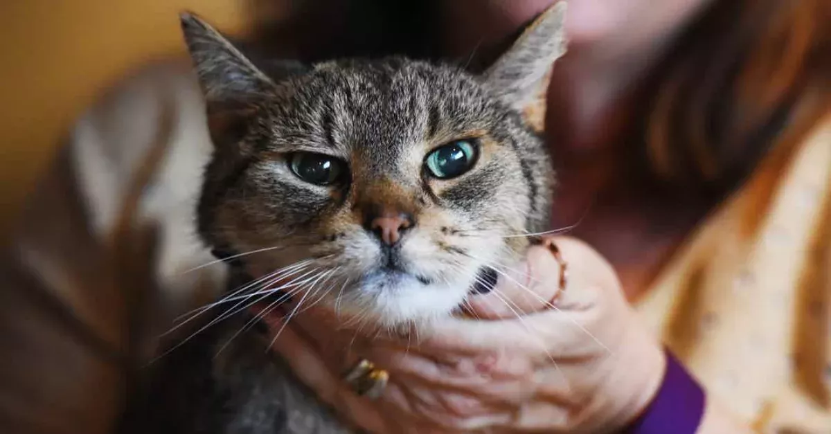  Lost For Two Years,
