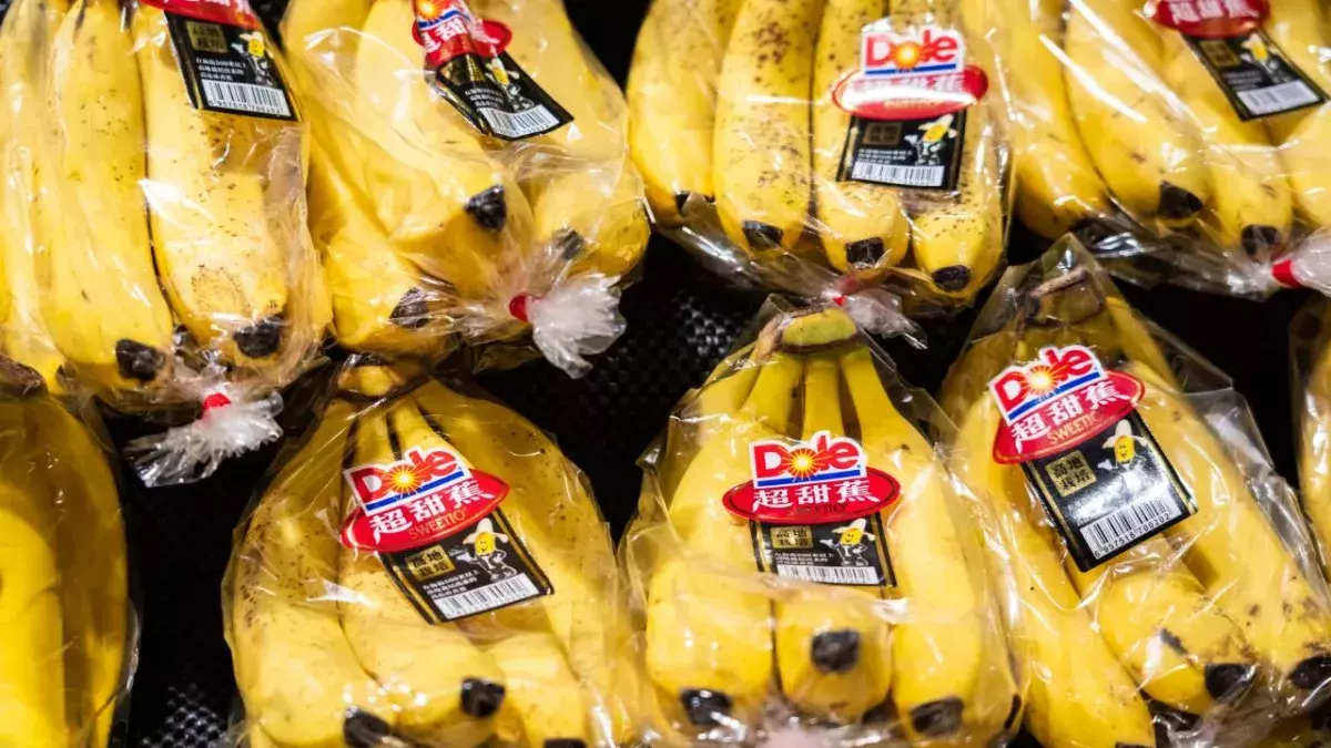 Man terrified to find ‘most venomous’ spider in Sainbury’s bananas