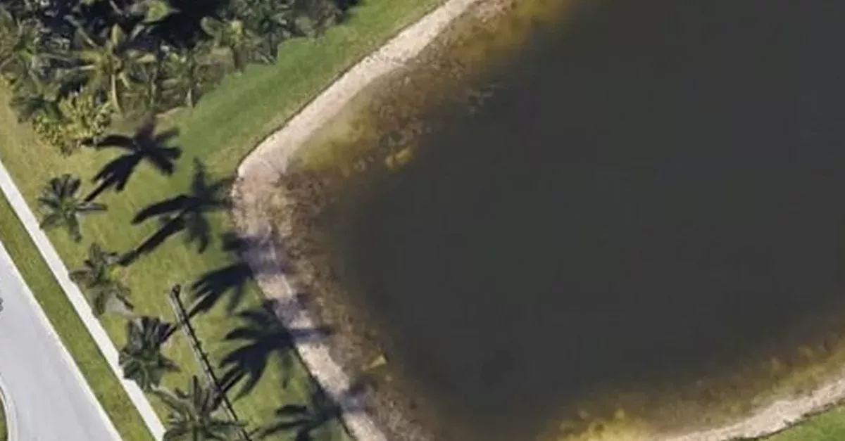 A Man's Remains Were Found Thanks To Google Maps