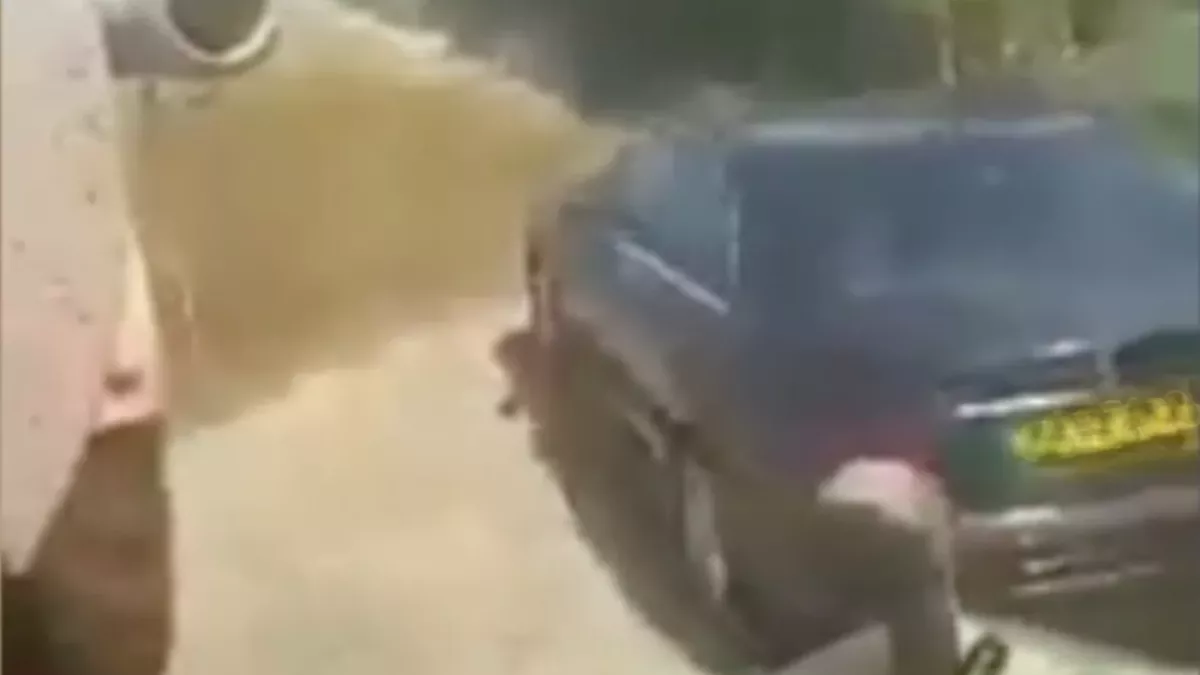 Mercedes Gets Painted in Poop After Illegally Parking on Farmers Land