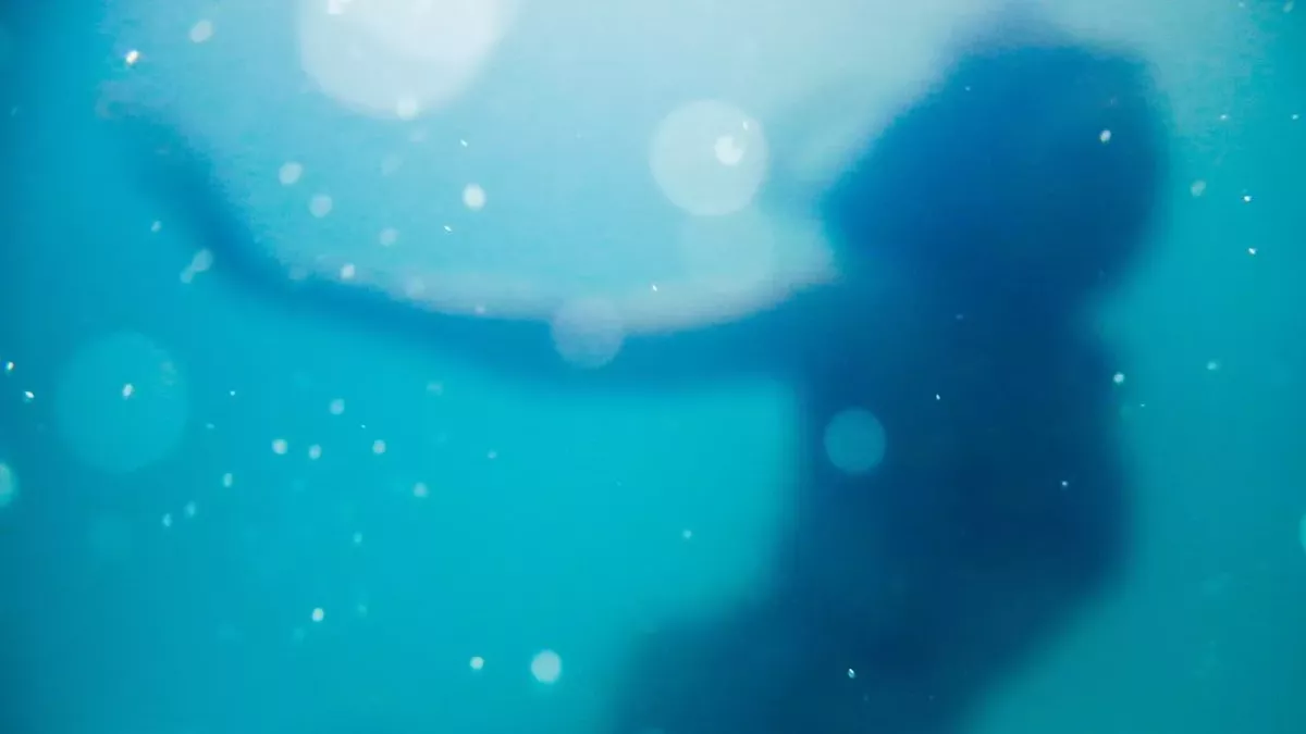 Mermaid found swimming in flooded Glasgow street