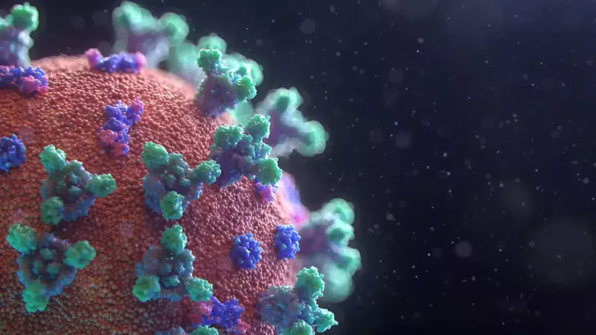 Nearly a quarter of registered COVID deaths are not caused by the virus 