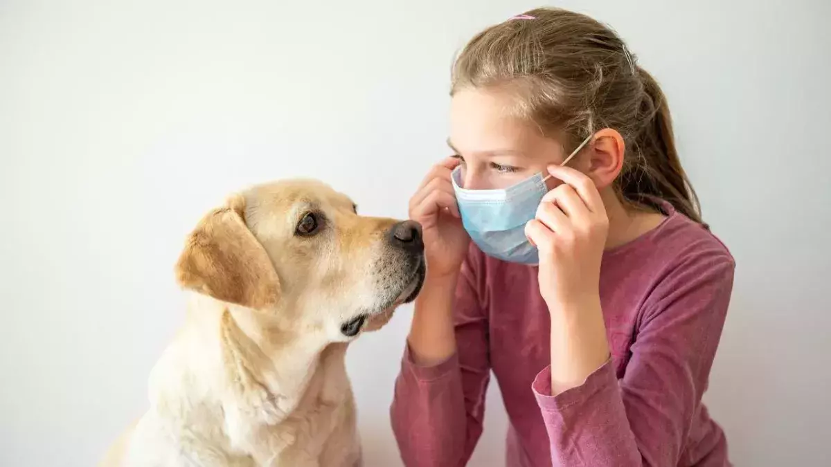 A New Coronavirus Has Been Discovered To Pass From Dogs to Children