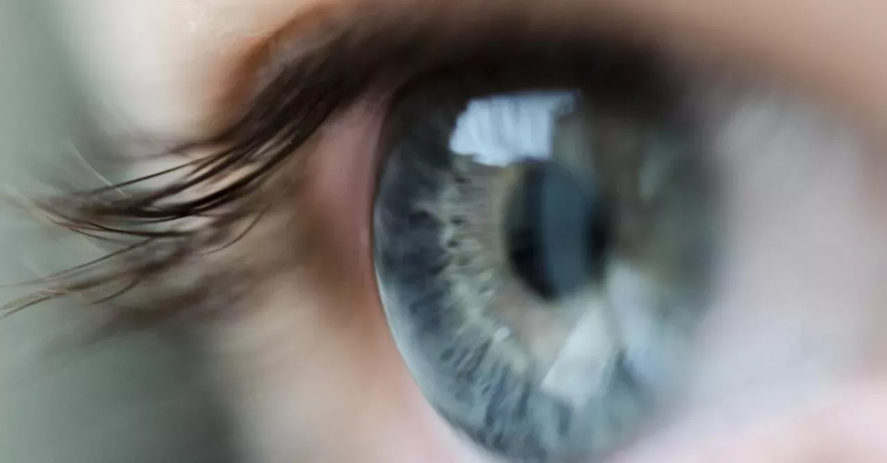 Our eyes deceive us