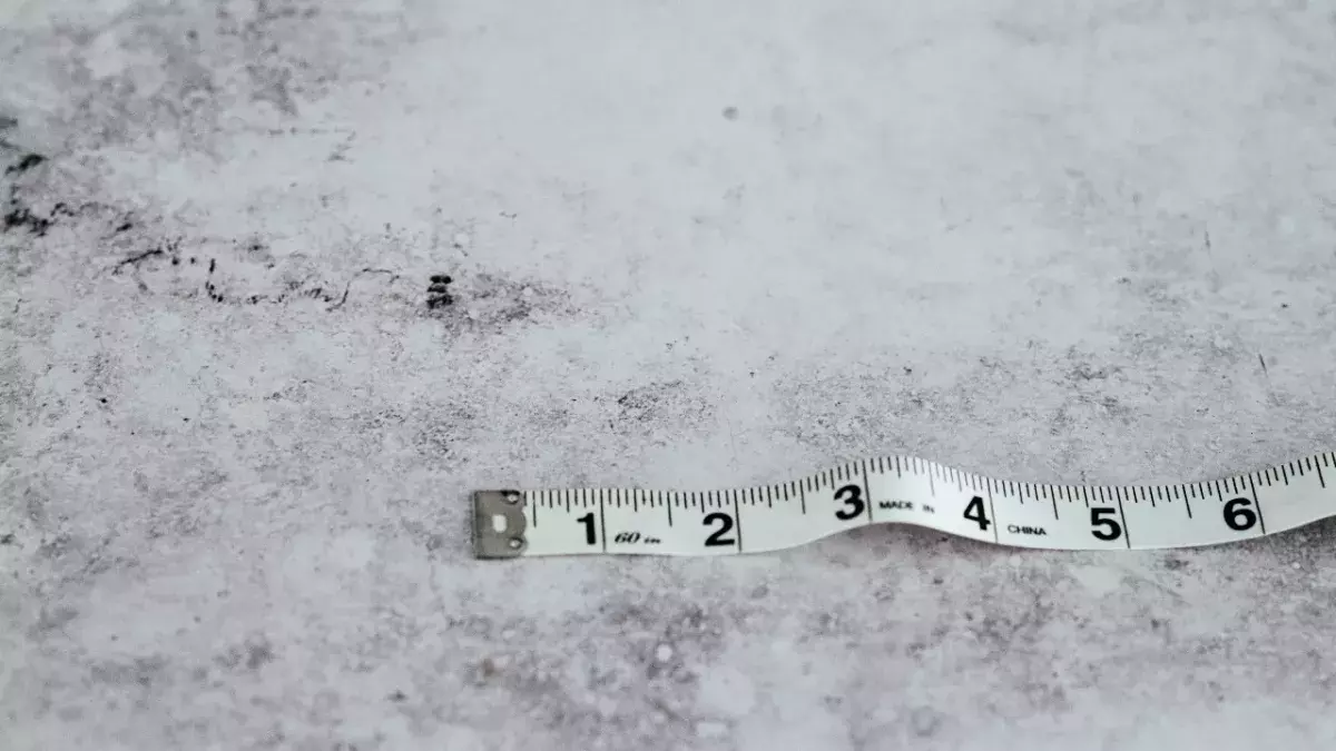Ruler