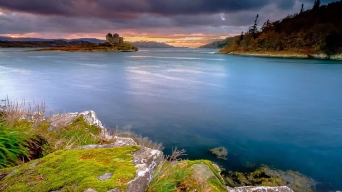 Scottish Island put on auction