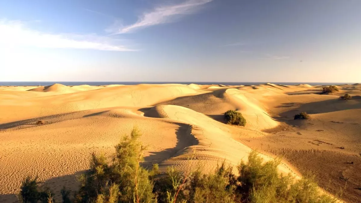 Sexual activities of tourists in dunes destroying a Spanish beach