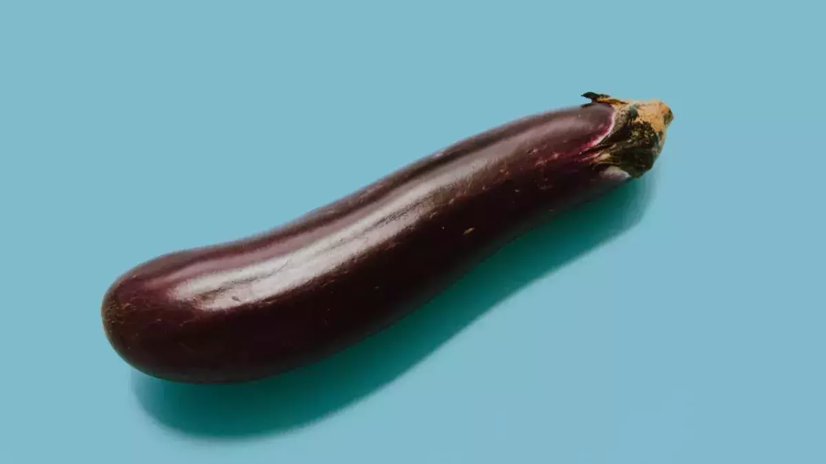 The size of a man's nose can say a lot about the size of his member, study says