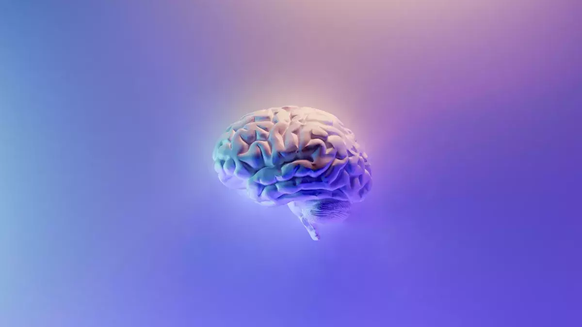 Study: What happens to your brain after you die?