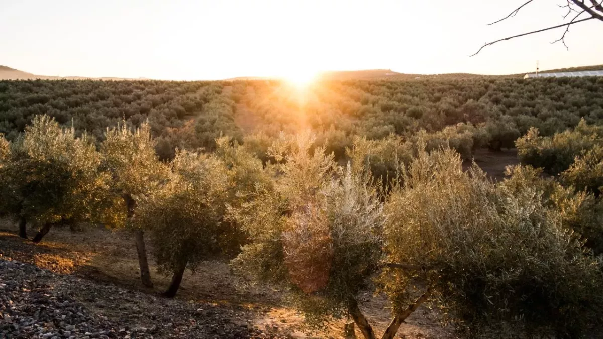 There's an entire village in Spain put up for sale for the price of a London flat