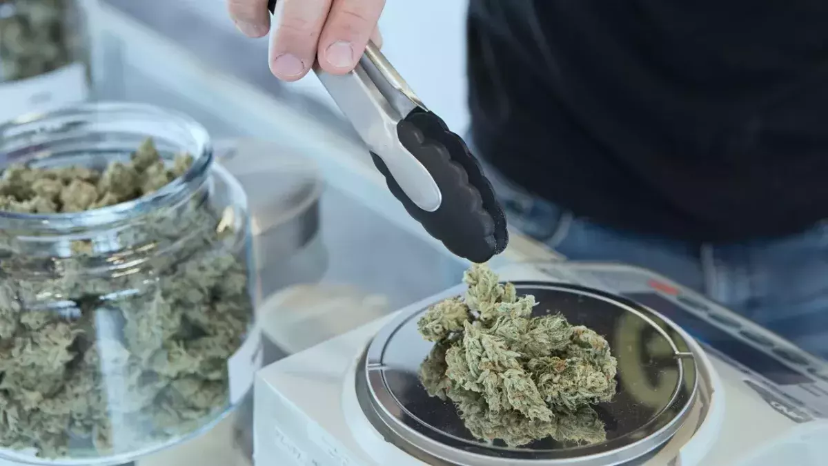 What happens when you smoke marijuana every day for 5 years?