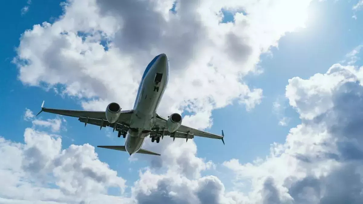 What really happens when you flush an airplane toilet?