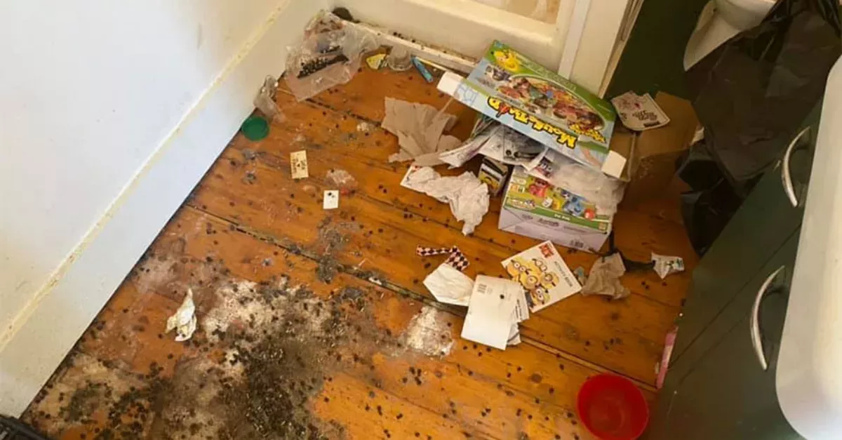 Who could even live like that!