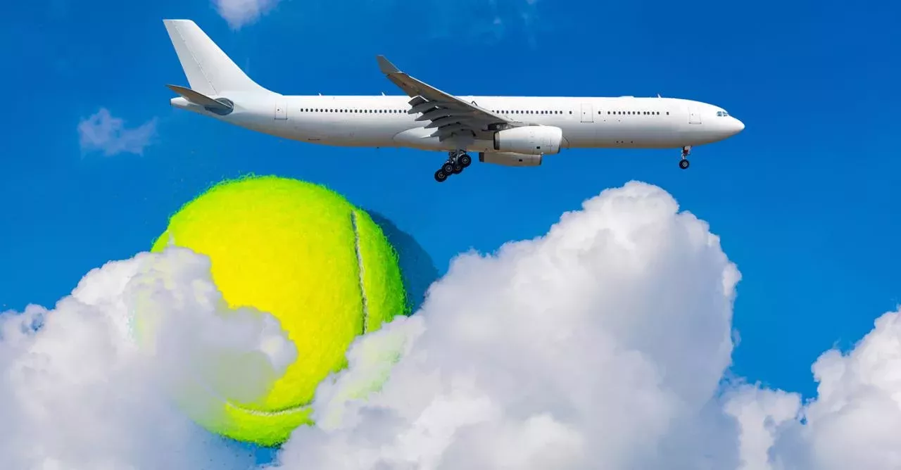 This Is Why You Need To Bring A Tennis Ball On An Aeroplane