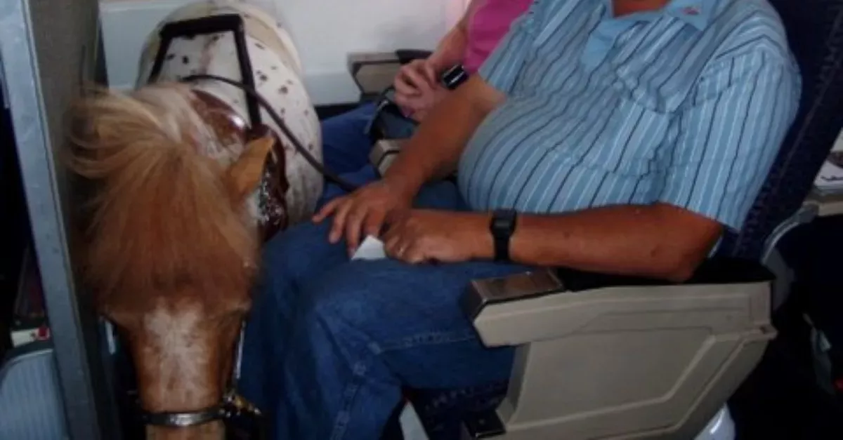 This Woman Brought On The Plane
