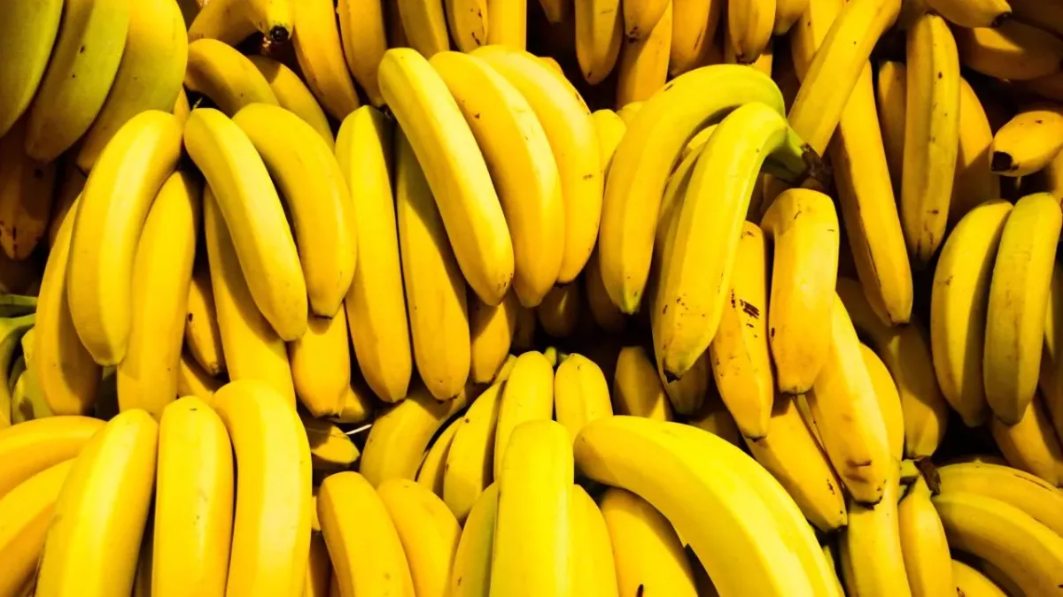 The health benefits of the humble banana