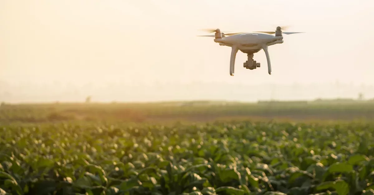 Drones Can Be Very Dangerous: Cloned Dog Becomes A Lifesaver