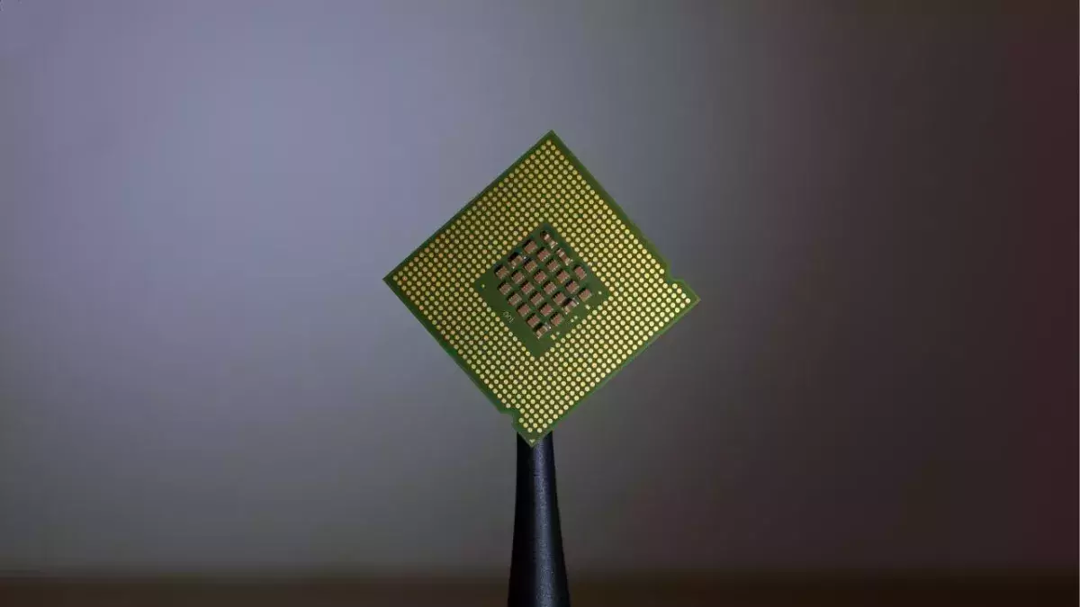 This microchip allows you to store proof of vaccination under your skin