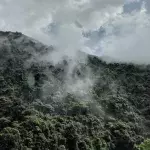The Amazon rainforest is now releasing more carbon pollution than it absorbs