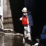 Bird and sea life could be endangered for years by California oil spill