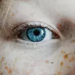 Blind
