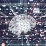 Brain