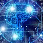 Brain