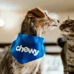 British COVID variant found to be dangerous to cats & dogs