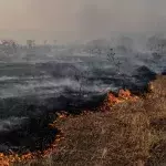 Climate Change Report a ‘Code Red For Humanity’