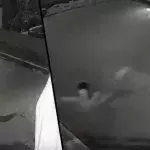 Couple attacked by crocodile in private pool