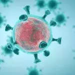 Covid lab origin theory gets revived