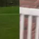 Default image