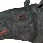 Default image