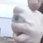 Default image