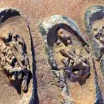 DNA found in 75-million-year-old dinosaur fossil shows that organic material can survive for a long time