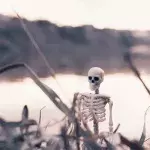 Earth at Risk: Study confirms a near man-made mass extinction