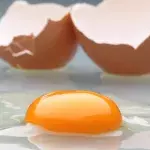 Egg