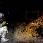 Elephant's Foot, Chernobyl