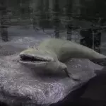 Elpistostege watsoni