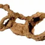 Exceptional discovery of a 1800 year old chained slave skeleton in England