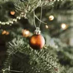 Family finds highly venomous snake hiding inside their Christmas tree